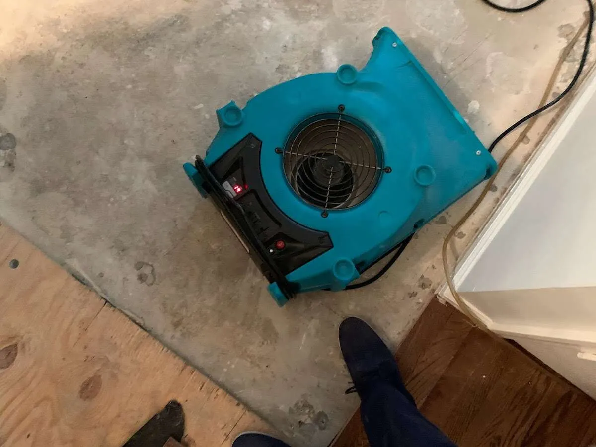 Air mover drying subfloor during Leak Detection & Repair in Sebastian